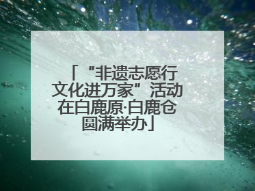“非遗志愿行 文化进万家”活动在白鹿原·白鹿仓圆满举办