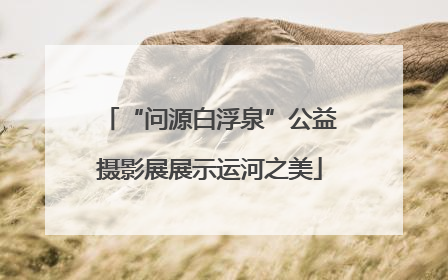 “问源白浮泉”公益摄影展展示运河之美