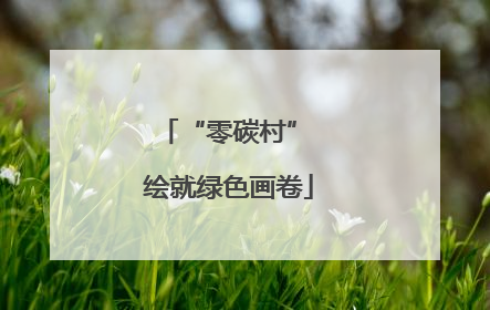 “零碳村” 绘就绿色画卷