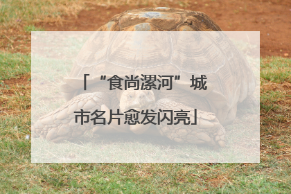 “食尚漯河”城市名片愈发闪亮