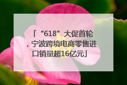 “618”大促首轮，宁波跨境电商零售进口销量超16亿元