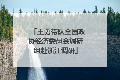 王勇带队全国政协经济委员会调研组赴浙江调研
