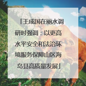 王成国在丽水调研时强调：以更高水平安全和法治环境服务保障山区海岛县高质量发展