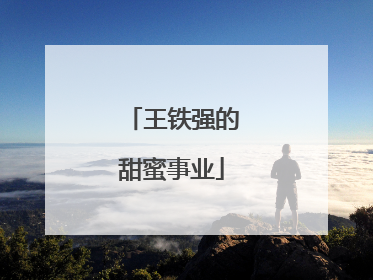 王铁强的甜蜜事业