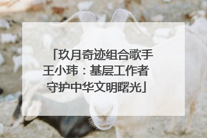 玖月奇迹组合歌手王小玮：基层工作者守护中华文明曙光