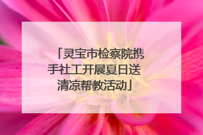 灵宝市检察院携手社工开展夏日送清凉帮教活动