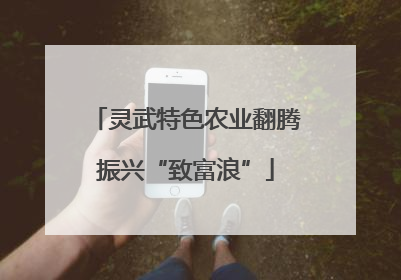 灵武特色农业翻腾振兴“致富浪”