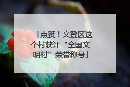 点赞！文登区这个村获评“全国文明村”荣誉称号