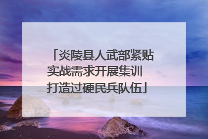 炎陵县人武部紧贴实战需求开展集训 打造过硬民兵队伍