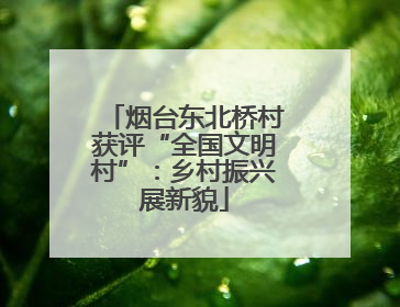 烟台东北桥村获评“全国文明村”：乡村振兴展新貌