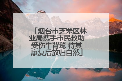 烟台市芝罘区林业局携手市民救助受伤牛背鹭 待其康复后放归自然