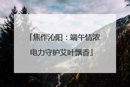 焦作沁阳：端午情浓 电力守护艾叶飘香