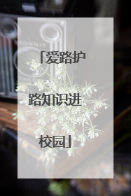 爱路护路知识进校园