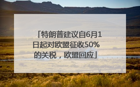 特朗普建议自6月1日起对欧盟征收50%的关税，欧盟回应