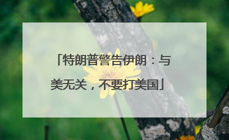 特朗普警告伊朗：与美无关，不要打美国