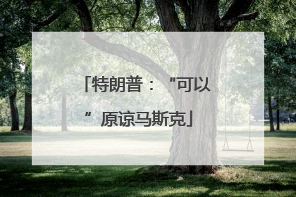 特朗普：“可以”原谅马斯克