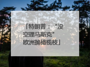 特朗普：“没空理马斯克” 欧洲抛橄榄枝