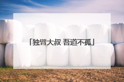独臂大叔 吾道不孤