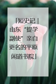 短史记｜山东“提学副使”亲自更名的平原闲道书院