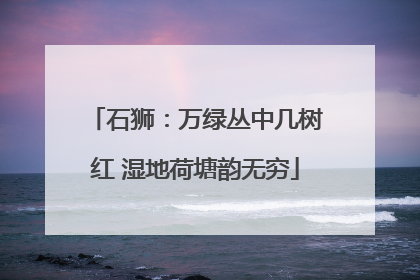 石狮：万绿丛中几树红 湿地荷塘韵无穷