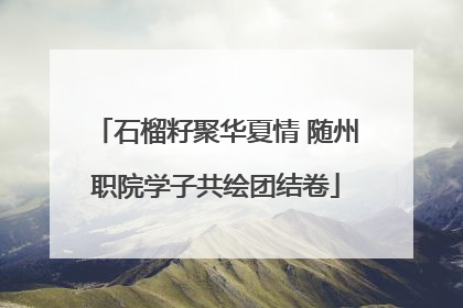 石榴籽聚华夏情 随州职院学子共绘团结卷