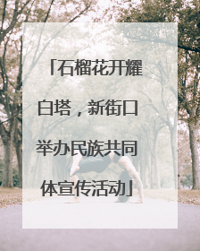 石榴花开耀白塔，新街口举办民族共同体宣传活动