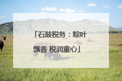 石鼓税务：粽叶飘香 税润童心
