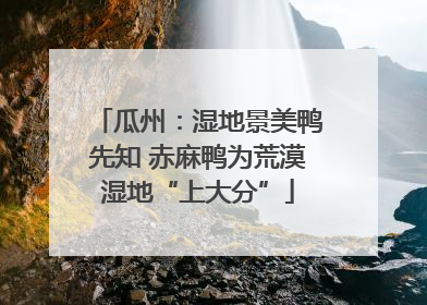 瓜州：湿地景美鸭先知 赤麻鸭为荒漠湿地“上大分”