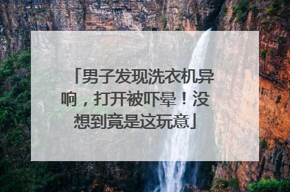 男子发现洗衣机异响，打开被吓晕！没想到竟是这玩意