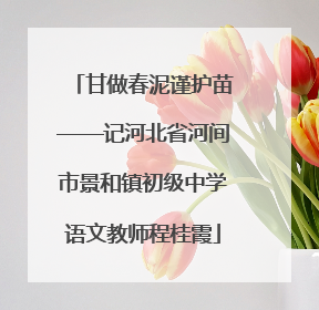 甘做春泥谨护苗——记河北省河间市景和镇初级中学语文教师程桂霞