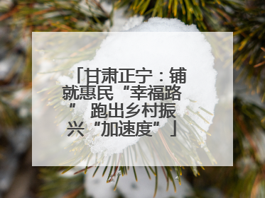 甘肃正宁：铺就惠民“幸福路” 跑出乡村振兴“加速度”