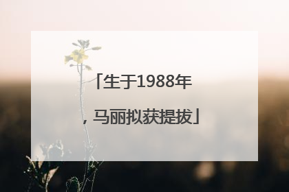 生于1988年，马丽拟获提拔