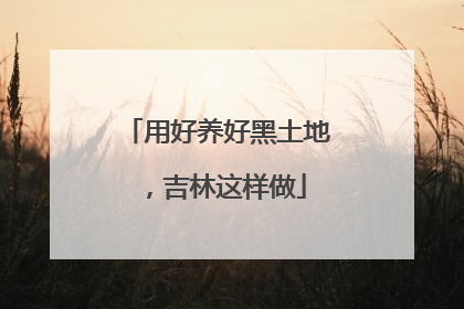 用好养好黑土地，吉林这样做