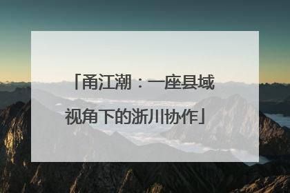 甬江潮：一座县域视角下的浙川协作