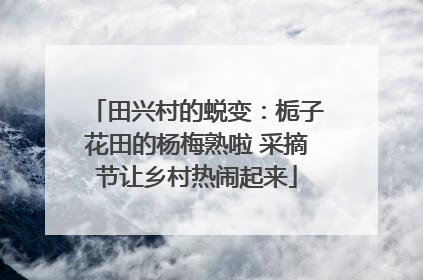 田兴村的蜕变：栀子花田的杨梅熟啦 采摘节让乡村热闹起来