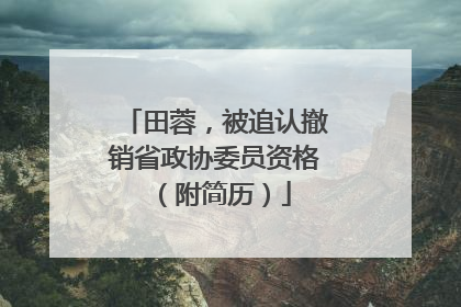 田蓉，被追认撤销省政协委员资格（附简历）