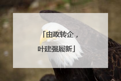 由政转企，叶建强履新