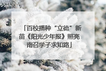 百校播种“立德”新苗《阳光少年报》照亮南召学子求知路