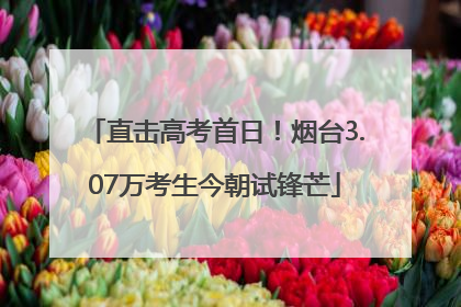 直击高考首日！烟台3.07万考生今朝试锋芒
