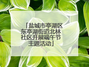 盐城市亭湖区东亭湖街道北林社区开展端午节主题活动