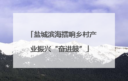 盐城滨海擂响乡村产业振兴“奋进鼓”