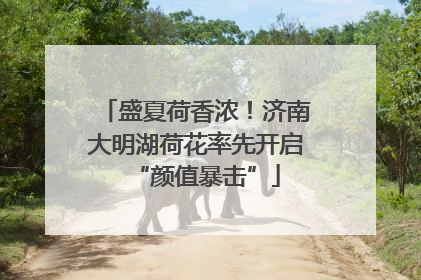 盛夏荷香浓！济南大明湖荷花率先开启“颜值暴击”