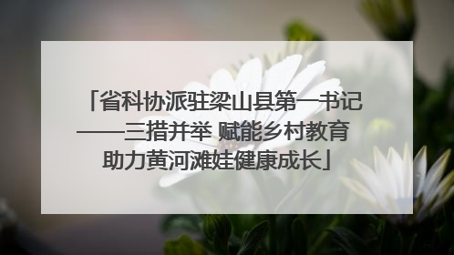 省科协派驻梁山县第一书记——三措并举 赋能乡村教育 助力黄河滩娃健康成长