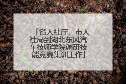 省人社厅、市人社局到湖北东风汽车技师学院调研技能竞赛集训工作