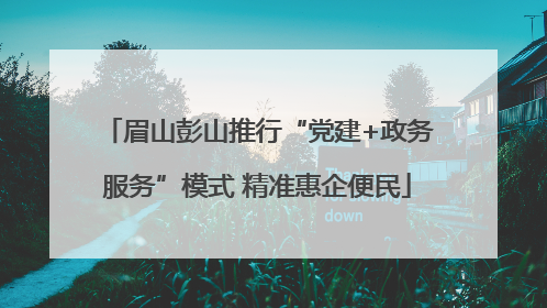 眉山彭山推行“党建+政务服务”模式 精准惠企便民