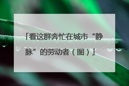 看这群奔忙在城市“静脉”的劳动者（图）