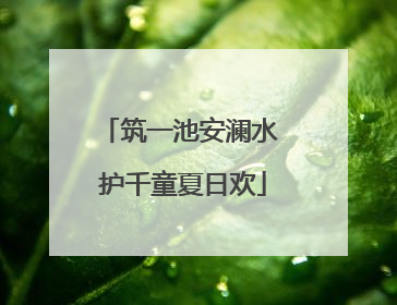 筑一池安澜水 护千童夏日欢