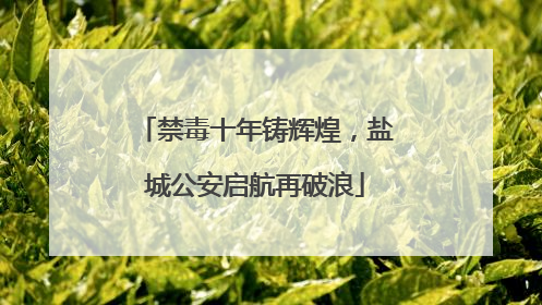 禁毒十年铸辉煌，盐城公安启航再破浪