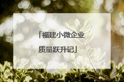 福建小微企业质量跃升记