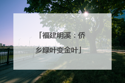 福建明溪：侨乡绿叶变金叶